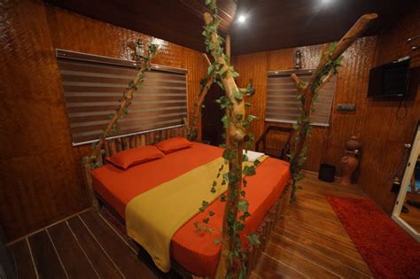 ela forest stay|Ela Forest(Home stay) Tree House in Thodupuzha, Idukki.